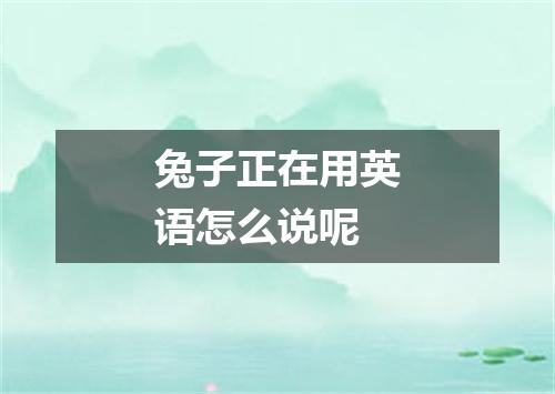 兔子正在用英语怎么说呢