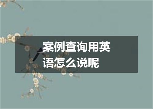 案例查询用英语怎么说呢