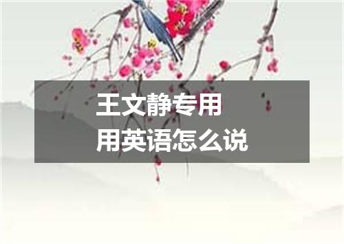 王文静专用 用英语怎么说