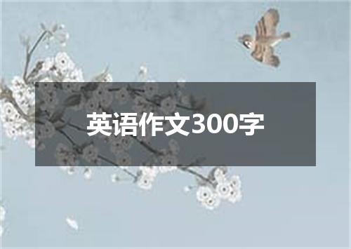 英语作文300字