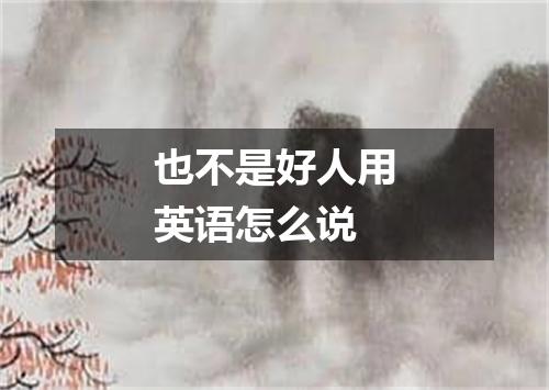 也不是好人用英语怎么说