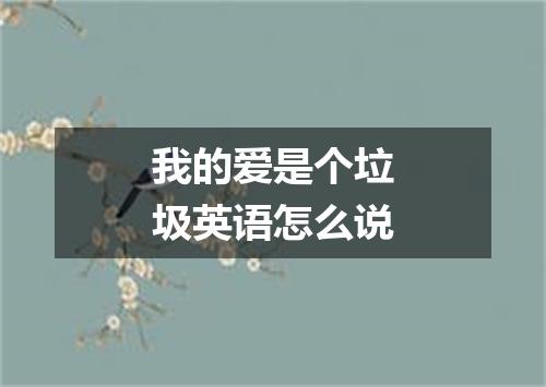 我的爱是个垃圾英语怎么说