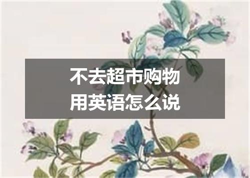 不去超市购物用英语怎么说