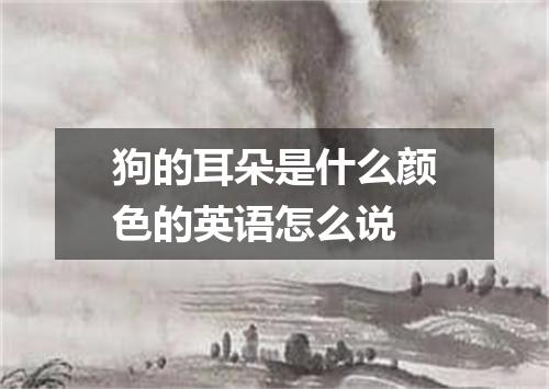 狗的耳朵是什么颜色的英语怎么说