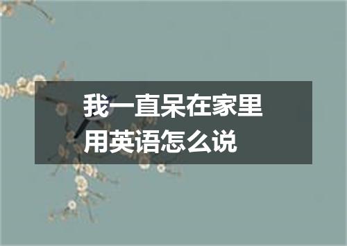 我一直呆在家里用英语怎么说