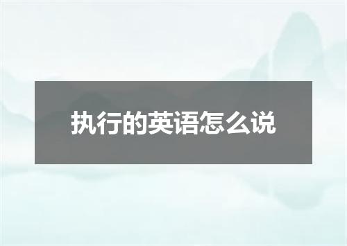 执行的英语怎么说