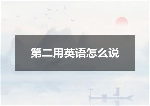 第二用英语怎么说
