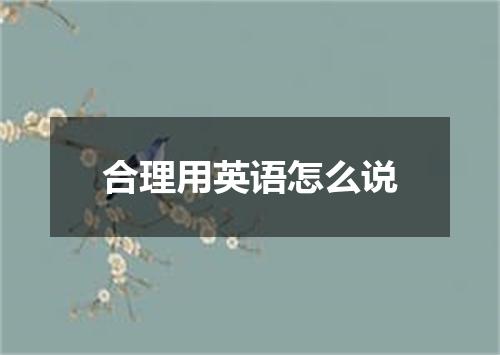 合理用英语怎么说