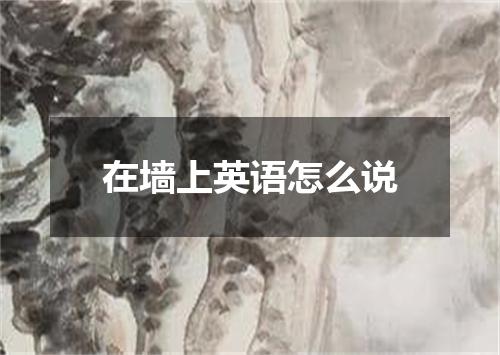 在墙上英语怎么说