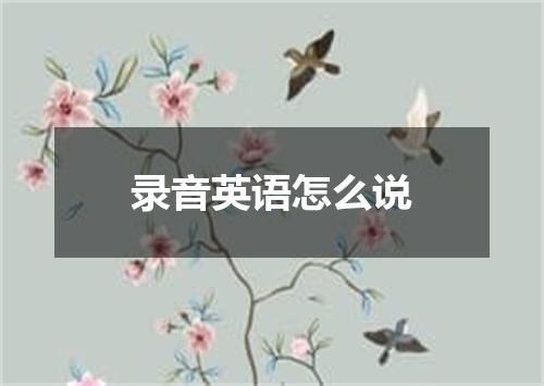 录音英语怎么说