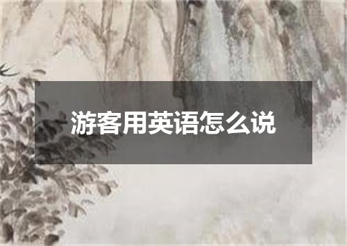 游客用英语怎么说
