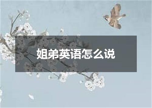 姐弟英语怎么说