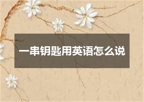 一串钥匙用英语怎么说