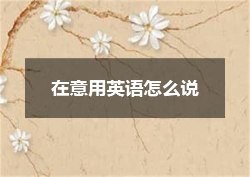 在意用英语怎么说