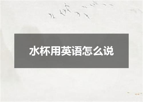 水杯用英语怎么说