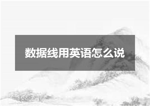 数据线用英语怎么说