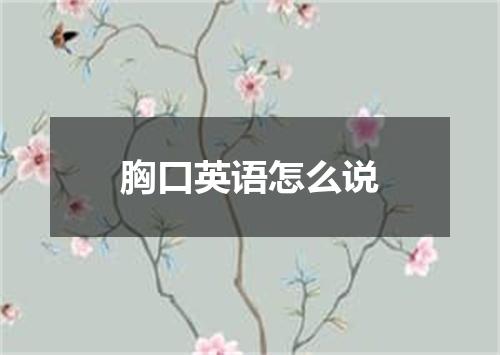 胸口英语怎么说