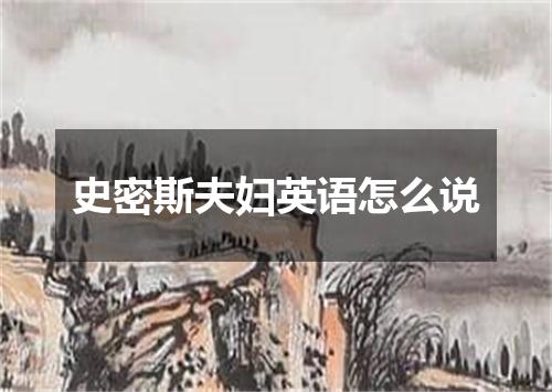 史密斯夫妇英语怎么说