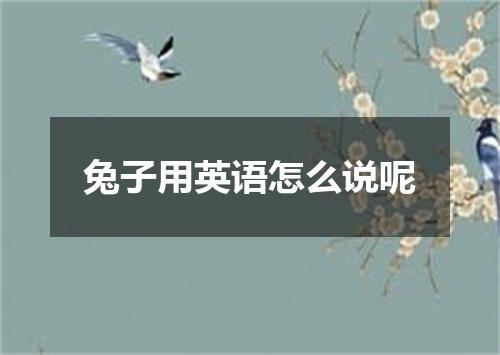 兔子用英语怎么说呢