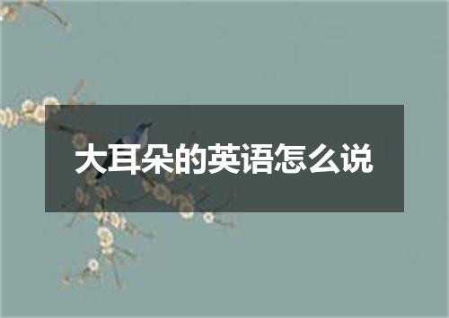 大耳朵的英语怎么说