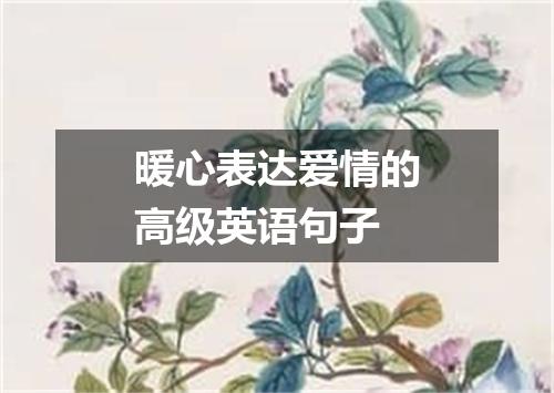 暖心表达爱情的高级英语句子