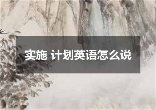 实施 计划英语怎么说