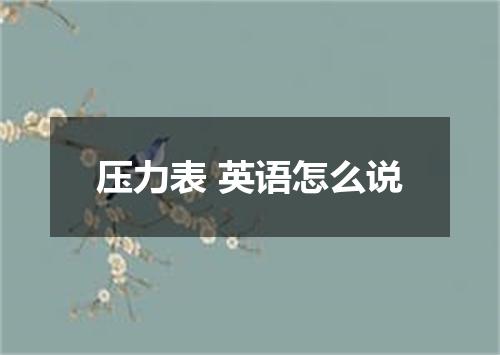 压力表 英语怎么说