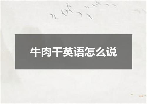 牛肉干英语怎么说