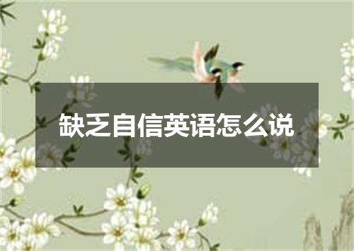 缺乏自信英语怎么说