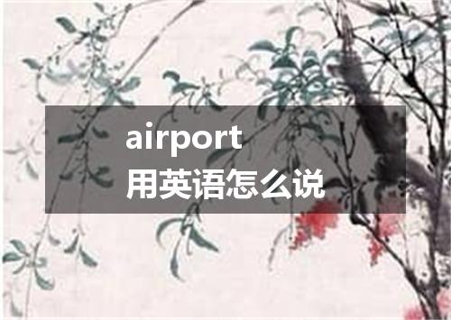 airport用英语怎么说