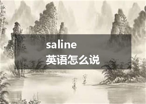 saline英语怎么说