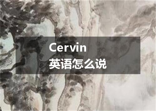 Cervin英语怎么说