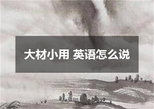 大材小用 英语怎么说