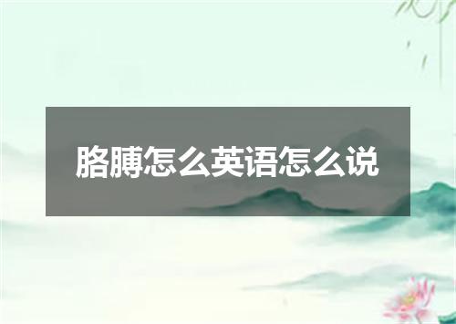 胳膊怎么英语怎么说