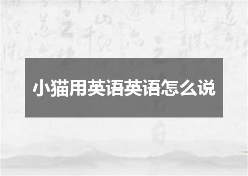 小猫用英语英语怎么说