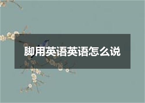 脚用英语英语怎么说