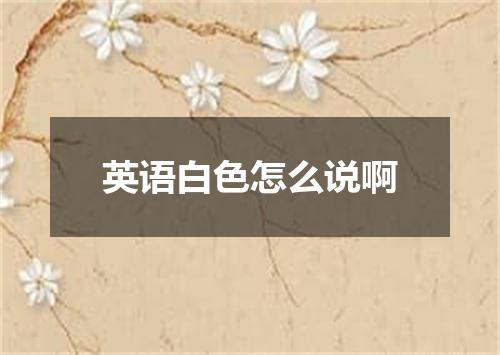 英语白色怎么说啊
