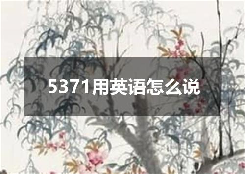 5371用英语怎么说