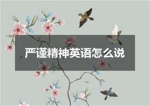 严谨精神英语怎么说