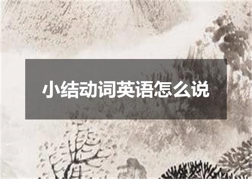 小结动词英语怎么说