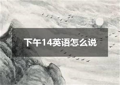 下午14英语怎么说