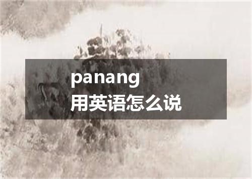 panang用英语怎么说