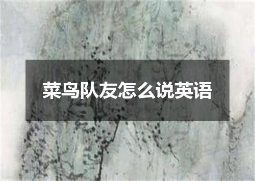 菜鸟队友怎么说英语