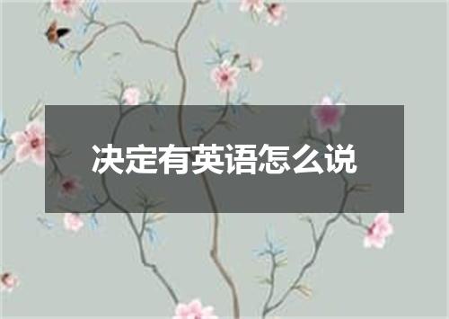 决定有英语怎么说