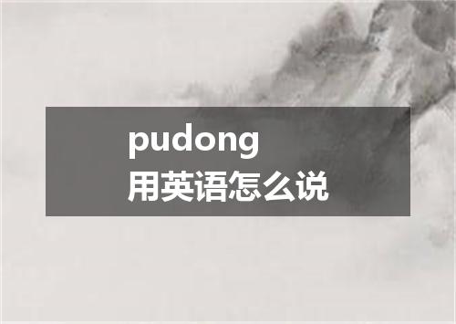 pudong用英语怎么说