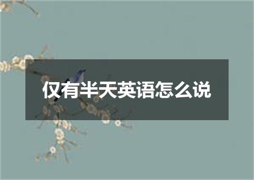 仅有半天英语怎么说