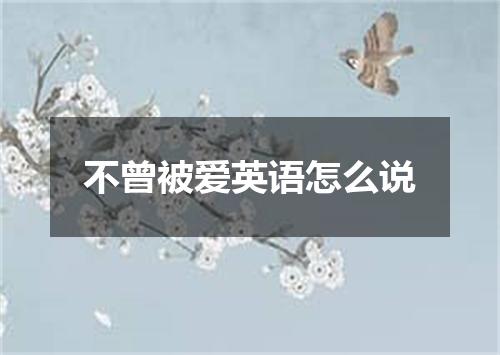 不曾被爱英语怎么说
