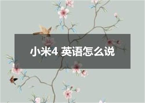 小米4 英语怎么说