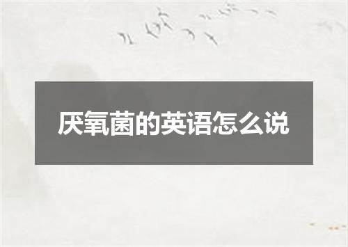 厌氧菌的英语怎么说