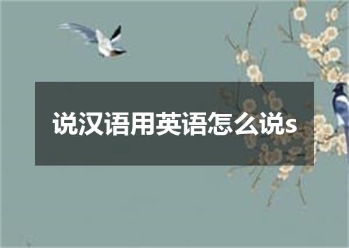 说汉语用英语怎么说s